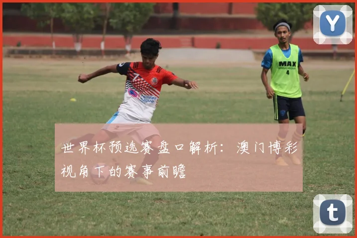 世界杯预选赛盘口解析：澳门博彩视角下的赛事前瞻