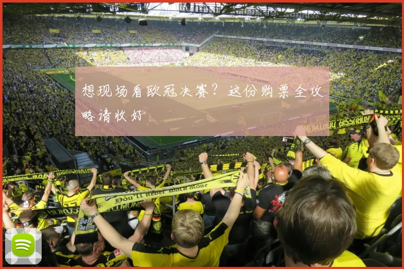 想现场看欧冠决赛?这份购票全攻略请收好